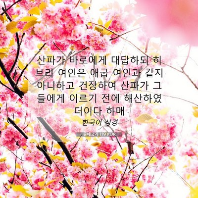 Picture 07 - 출애굽기 1:19 KOR - 산파가 바로에게 대답하되 히브리 - Bible Verse Picture