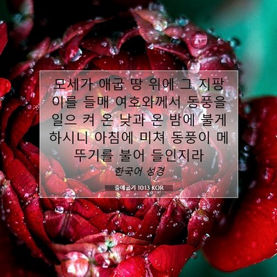Picture 07 - 출애굽기 10:13 KOR - 모세가 애굽 땅 위에 그 지팡이를 - Bible Verse Picture