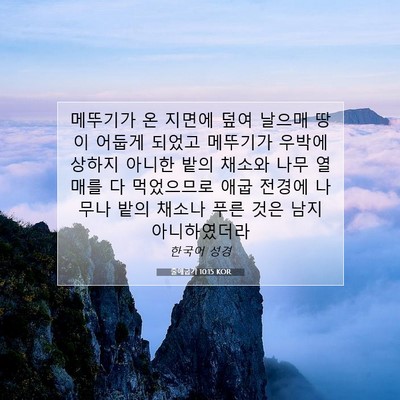 Picture 07 - 출애굽기 10:15 KOR - 메뚜기가 온 지면에 덮여 날으매 - Bible Verse Picture