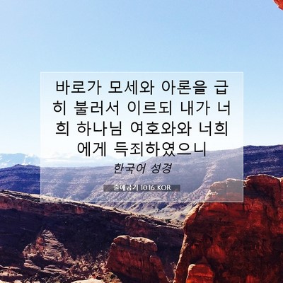 Picture 07 - 출애굽기 10:16 KOR - 바로가 모세와 아론을 급히 불러서 - Bible Verse Picture