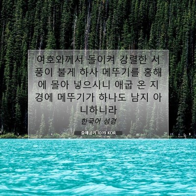 Picture 07 - 출애굽기 10:19 KOR - 여호와께서 돌이켜 강렬한 서풍이 - Bible Verse Picture