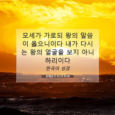 Picture 07 - 출애굽기 10:29 KOR - 모세가 가로되 왕의 말씀이 - Bible Verse Picture