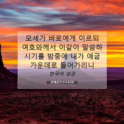 Picture 07 - 출애굽기 11:4 KOR - 모세가 바로에게 이르되 여호와께서 - Bible Verse Picture