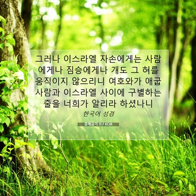 Picture 07 - 출애굽기 11:7 KOR - 그러나 이스라엘 자손에게는 - Bible Verse Picture