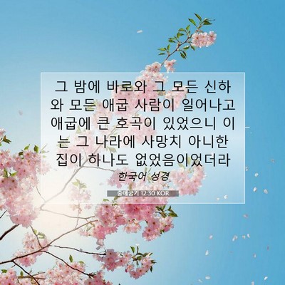 Picture 07 - 출애굽기 12:30 KOR - 그 밤에 바로와 그 모든 신하와 모든 - Bible Verse Picture