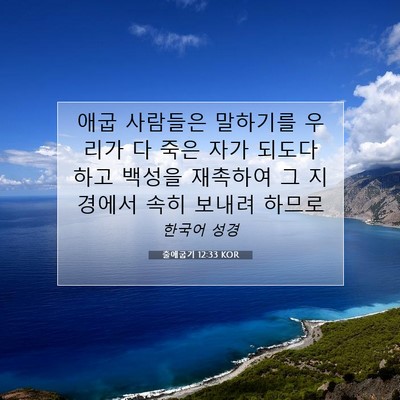 Picture 07 - 출애굽기 12:33 KOR - 애굽 사람들은 말하기를 우리가 다 - Bible Verse Picture