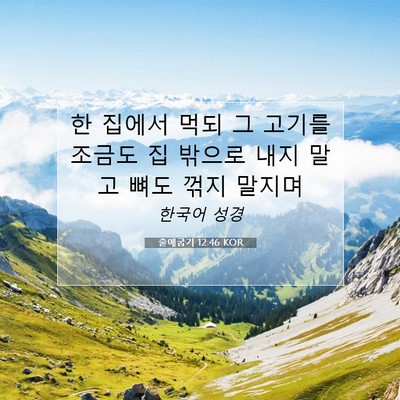 Picture 07 - 출애굽기 12:46 KOR - 한 집에서 먹되 그 고기를 조금도 집 - Bible Verse Picture