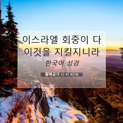 Picture 07 - 출애굽기 12:47 KOR - 이스라엘 회중이 다 이것을 - Bible Verse Picture