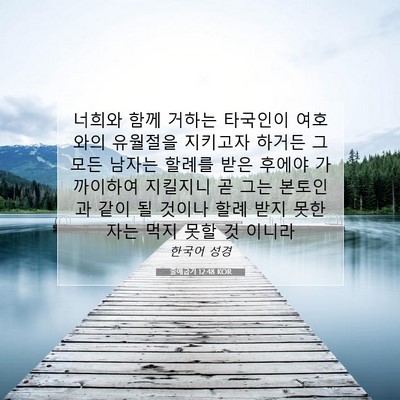 Picture 07 - 출애굽기 12:48 KOR - 너희와 함께 거하는 타국인이 - Bible Verse Picture