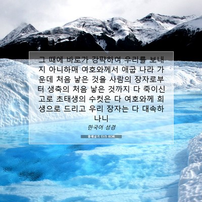 Picture 07 - 출애굽기 13:15 KOR - 그 때에 바로가 강퍅하여 우리를 - Bible Verse Picture
