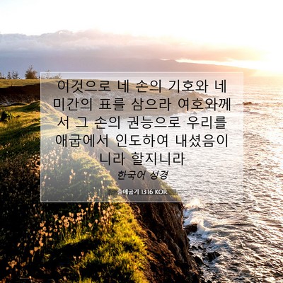 Picture 07 - 출애굽기 13:16 KOR - 이것으로 네 손의 기호와 네 미간의 - Bible Verse Picture