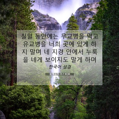 Picture 07 - 출애굽기 13:7 KOR - 칠일 동안에는 무교병을 먹고 - Bible Verse Picture