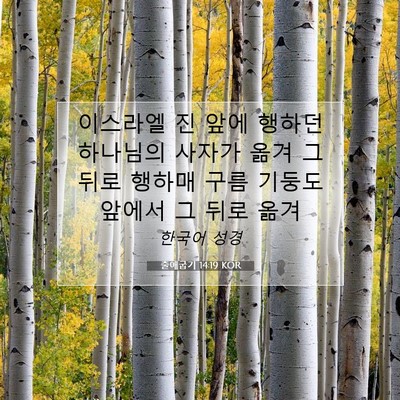 Picture 07 - 출애굽기 14:19 KOR - 이스라엘 진 앞에 행하던 하나님의 - Bible Verse Picture