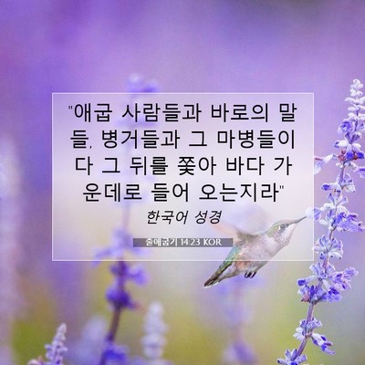 Picture 07 - 출애굽기 14:23 KOR - 