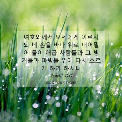 Picture 07 - 출애굽기 14:26 KOR - 여호와께서 모세에게 이르시되 네 - Bible Verse Picture