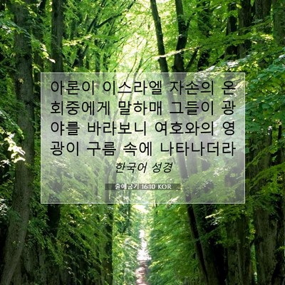 Picture 07 - 출애굽기 16:10 KOR - 아론이 이스라엘 자손의 온 회중에게 - Bible Verse Picture