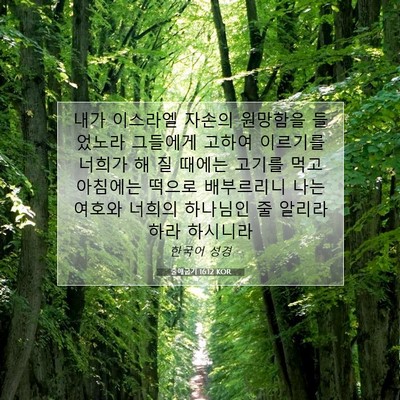 Picture 07 - 출애굽기 16:12 KOR - 내가 이스라엘 자손의 원망함을 - Bible Verse Picture