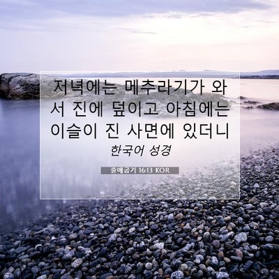 Picture 07 - 출애굽기 16:13 KOR - 저녁에는 메추라기가 와서 진에 - Bible Verse Picture