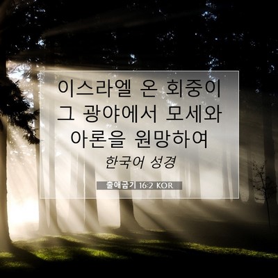 Picture 07 - 출애굽기 16:2 KOR - 이스라엘 온 회중이 그 광야에서 - Bible Verse Picture