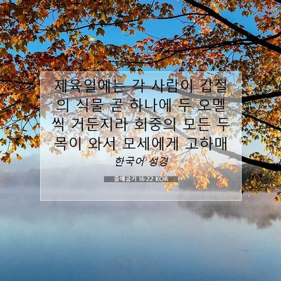 Picture 07 - 출애굽기 16:22 KOR - 제육일에는 각 사람이 갑절의 식물 - Bible Verse Picture