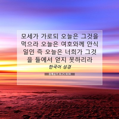 Picture 07 - 출애굽기 16:25 KOR - 모세가 가로되 오늘은 그것을 먹으라 - Bible Verse Picture