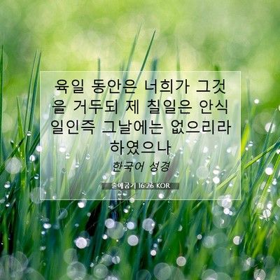 Picture 07 - 출애굽기 16:26 KOR - 육일 동안은 너희가 그것을 거두되 - Bible Verse Picture