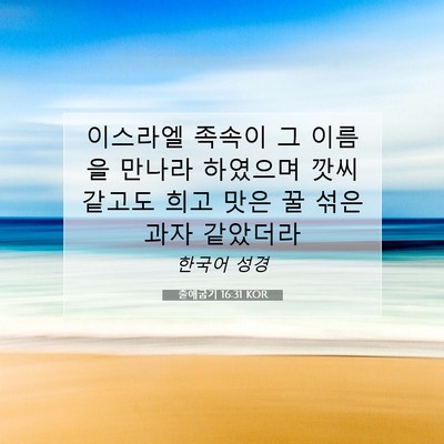 Picture 07 - 출애굽기 16:31 KOR - 이스라엘 족속이 그 이름을 만나라 - Bible Verse Picture