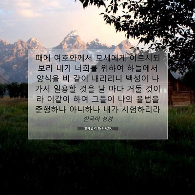Picture 07 - 출애굽기 16:4 KOR - 때에 여호와께서 모세에게 이르시되 - Bible Verse Picture