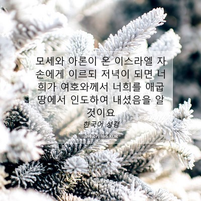 Picture 07 - 출애굽기 16:6 KOR - 모세와 아론이 온 이스라엘 자손에게 - Bible Verse Picture