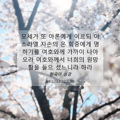 Picture 07 - 출애굽기 16:9 KOR - 모세가 또 아론에게 이르되 이스라엘 - Bible Verse Picture