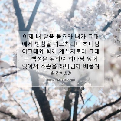 Picture 07 - 출애굽기 18:19 KOR - 이제 내 말을 들으라 내가 그대에게 - Bible Verse Picture