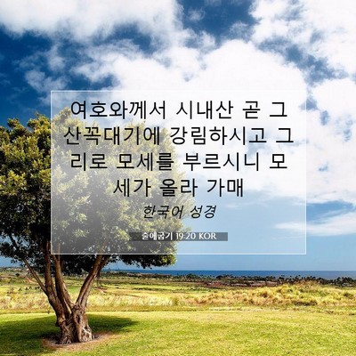 Picture 07 - 출애굽기 19:20 KOR - 여호와께서 시내산 곧 그 산꼭대기에 - Bible Verse Picture