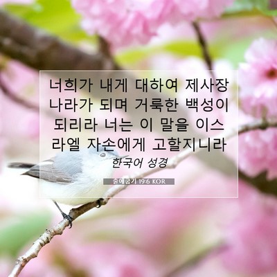 Picture 07 - 출애굽기 19:6 KOR - 너희가 내게 대하여 제사장 나라가 - Bible Verse Picture