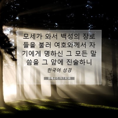 Picture 07 - 출애굽기 19:7 KOR - 모세가 와서 백성의 장로들을 불러 - Bible Verse Picture