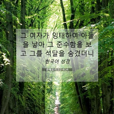Picture 07 - 출애굽기 2:2 KOR - 그 여자가 잉태하여 아들을 낳아 그 - Bible Verse Picture