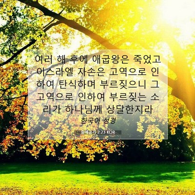 Picture 07 - 출애굽기 2:23 KOR - 여러 해 후에 애굽왕은 죽었고 - Bible Verse Picture