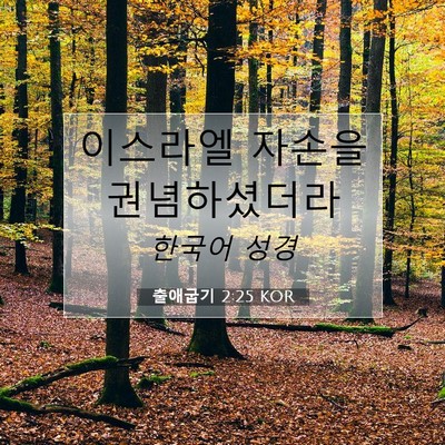 Picture 07 - 출애굽기 2:25 KOR - 이스라엘 자손을 - Bible Verse Picture
