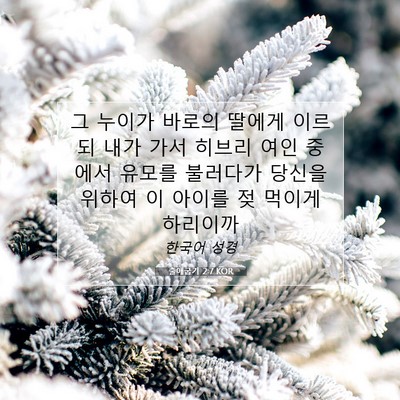 Picture 07 - 출애굽기 2:7 KOR - 그 누이가 바로의 딸에게 이르되 - Bible Verse Picture