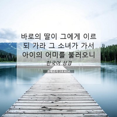 Picture 07 - 출애굽기 2:8 KOR - 바로의 딸이 그에게 이르되 가라 그 - Bible Verse Picture