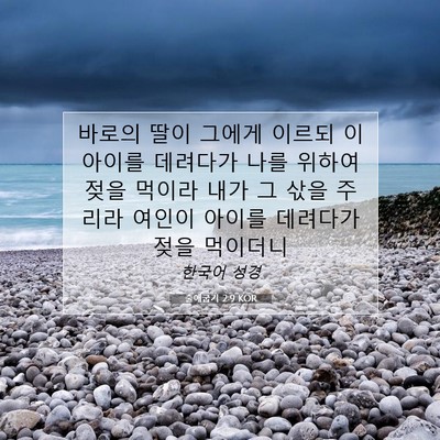 Picture 07 - 출애굽기 2:9 KOR - 바로의 딸이 그에게 이르되 이 - Bible Verse Picture