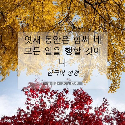 Picture 07 - 출애굽기 20:9 KOR - 엿새 동안은 힘써 네 모든 일을 행할 - Bible Verse Picture