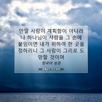 Picture 07 - 출애굽기 21:13 KOR - 만일 사람이 계획함이 아니라 나 - Bible Verse Picture