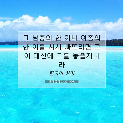 Picture 07 - 출애굽기 21:27 KOR - 그 남종의 한 이나 여종의 한 이를 - Bible Verse Picture