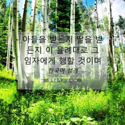 Picture 07 - 출애굽기 21:31 KOR - 아들을 받든지 딸을 받든지 이 - Bible Verse Picture