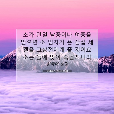 Picture 07 - 출애굽기 21:32 KOR - 소가 만일 남종이나 여종을 받으면 - Bible Verse Picture