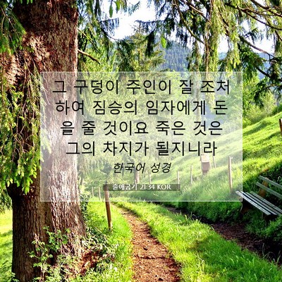 Picture 07 - 출애굽기 21:34 KOR - 그 구덩이 주인이 잘 조처하여 - Bible Verse Picture