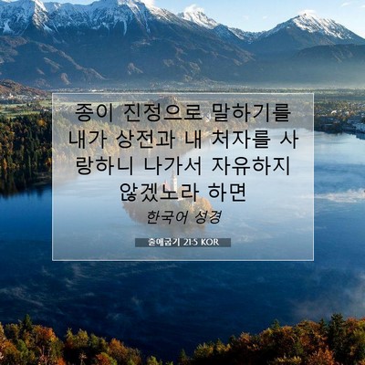 Picture 07 - 출애굽기 21:5 KOR - 종이 진정으로 말하기를 내가 상전과 - Bible Verse Picture