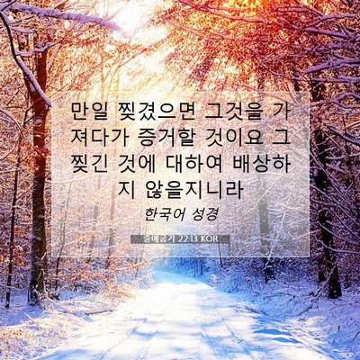 Picture 07 - 출애굽기 22:13 KOR - 만일 찢겼으면 그것을 가져다가 - Bible Verse Picture