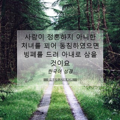 Picture 07 - 출애굽기 22:16 KOR - 사람이 정혼하지 아니한 처녀를 꾀어 - Bible Verse Picture