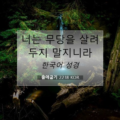 Picture 07 - 출애굽기 22:18 KOR - 너는 무당을 살려 두지 - Bible Verse Picture